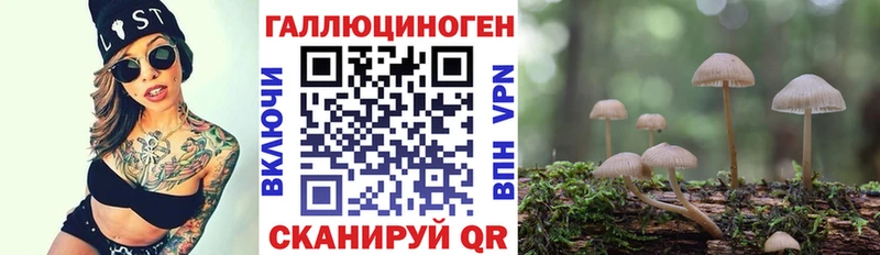 ссылка на мегу онион  Красный Сулин  Псилоцибиновые грибы мицелий  даркнет сайт 