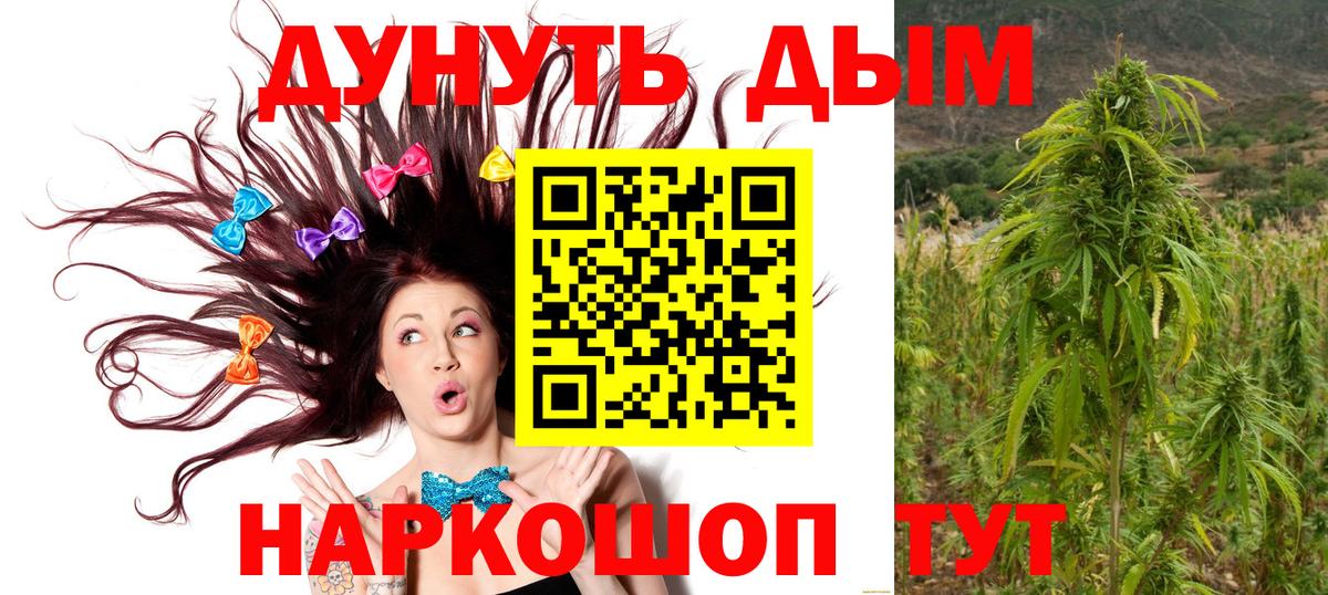 Конопля Bruce Banner Красный Сулин